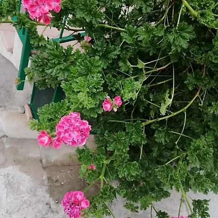 Casa Maria Lafinestrasulgarda Limone sul Garda