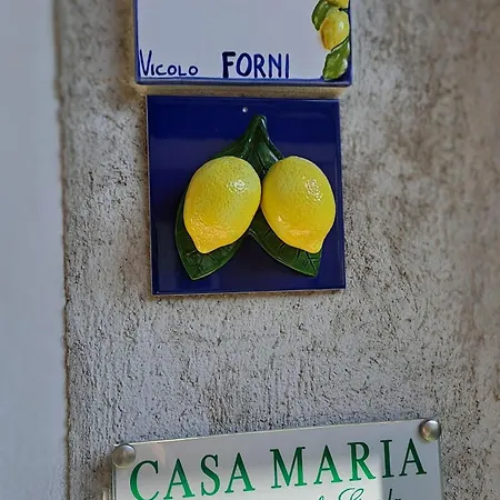Casa Maria Lafinestrasulgarda Lejlighed